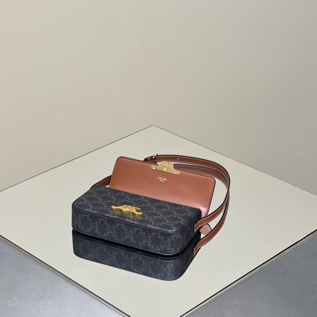 🔥大货实拍图 𝗖𝗘𝗟𝗜𝗡𝗘 ♥ 𝗧𝗥𝗜𝗢𝗠𝗣𝗛𝗘 𝗦𝗛𝗢𝗨𝗟𝗗𝗘𝗥 𝗕𝗔𝗚 型号：194142 尺寸：20*10*4cm