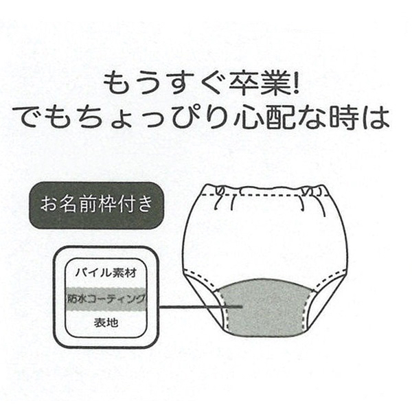 🇯🇵預訂 日本直送🇯🇵Frozen公主印花三層學習褲兩件套裝