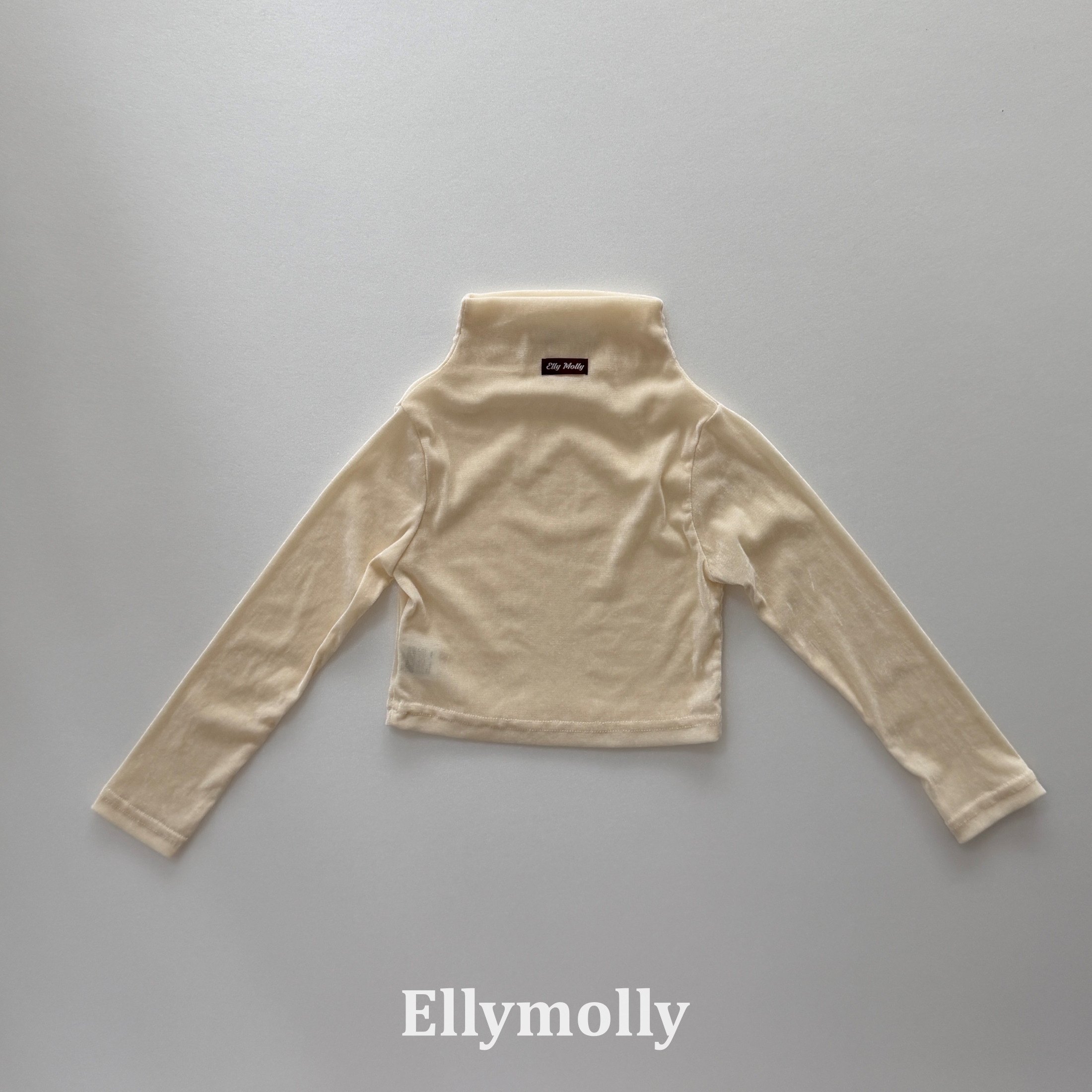Ellymolly | Velvet Mesh Mock Turtleneck