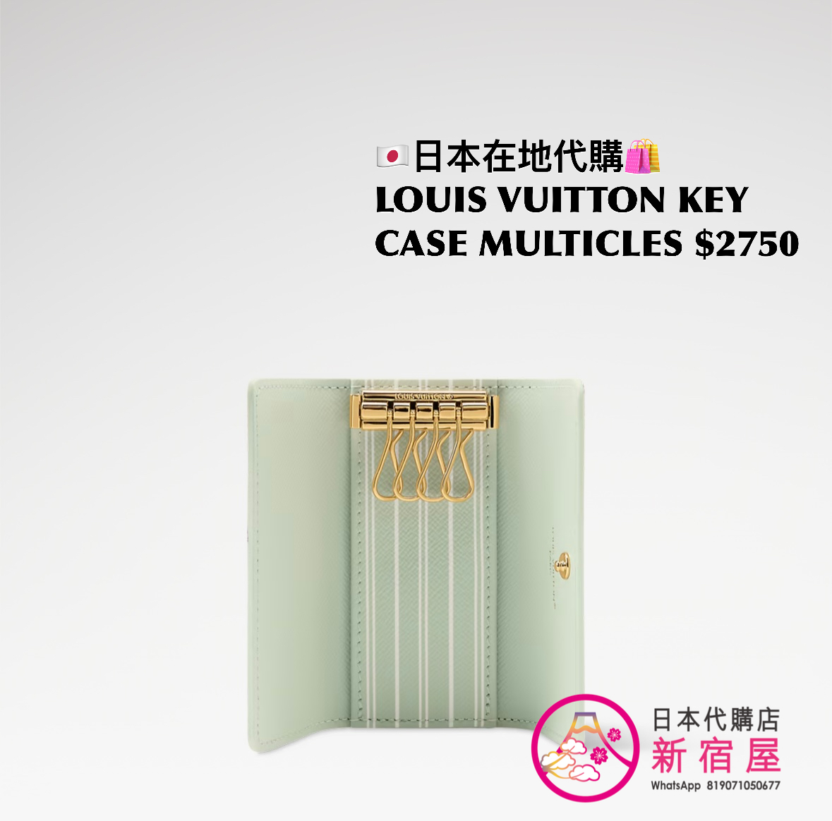 LOUIS VUITTON MULTICLES 4 KEY CASE