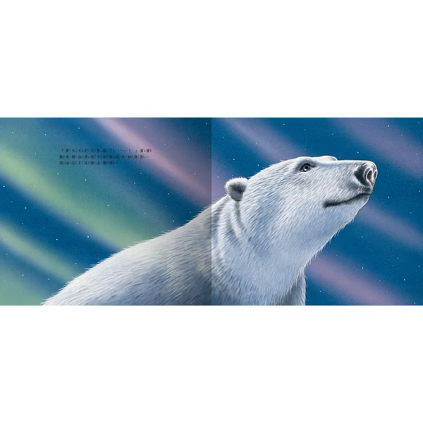 Dasher and the Polar Bear 極光下的相遇