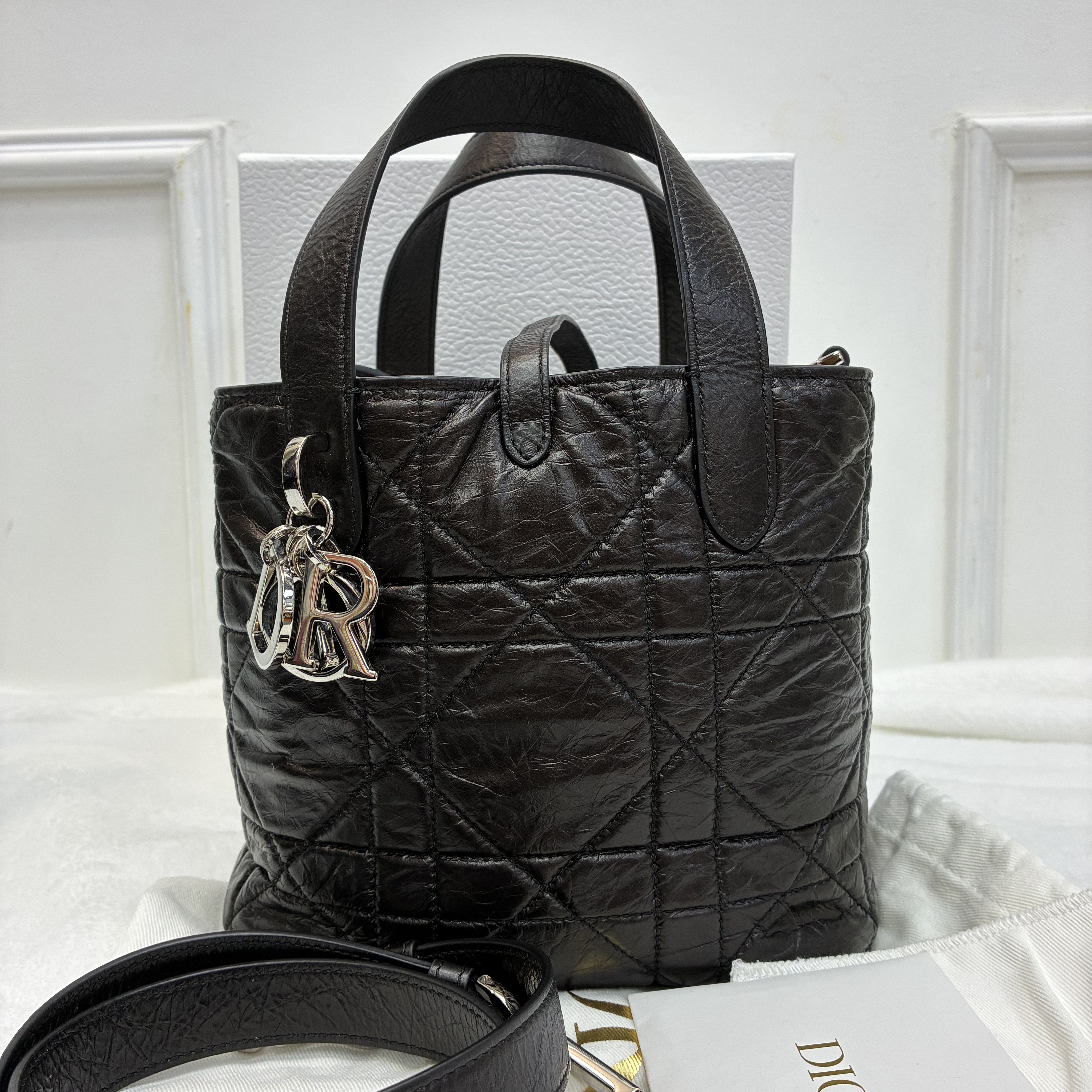 Dior toujours 小號土著包 直向toujours黑色