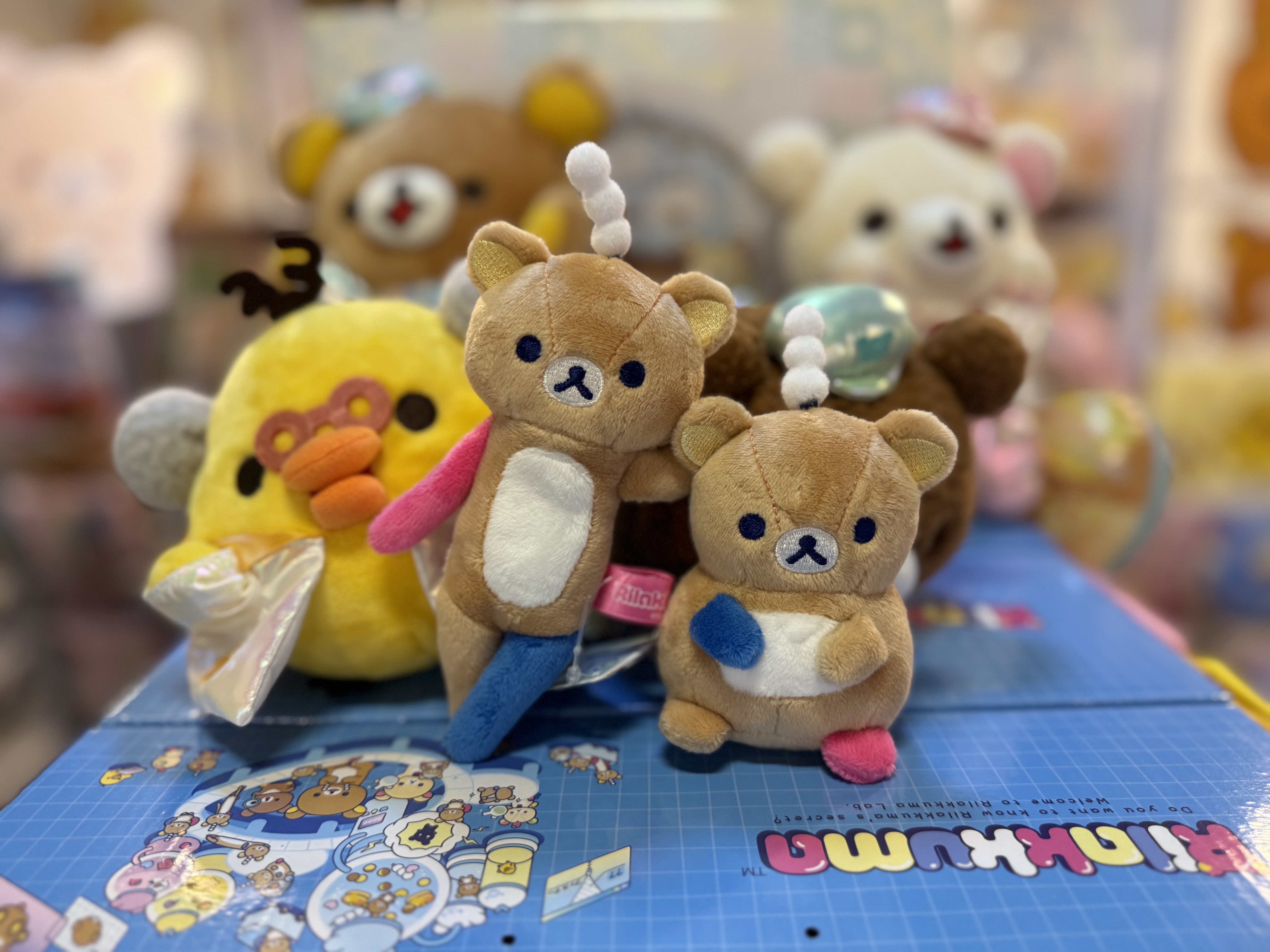《現貨》全新日本專店限定實驗室系列rilakkuma 手玉公仔