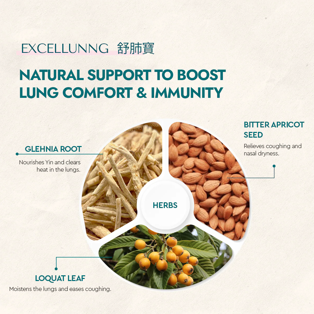 食之藝 舒肺寶【Food Art  EXCELLUNG SOUP】免煮湯包 - 化痰止咳、清熱潤肺、增強免疫、護肝和胃