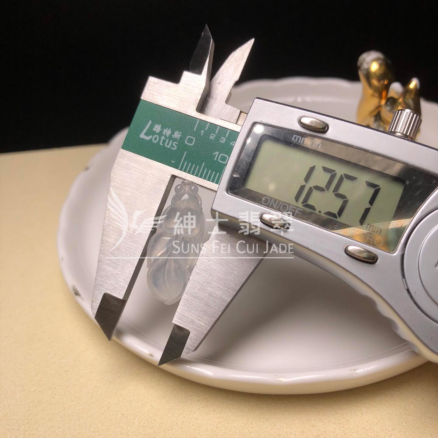B08960 冰種福葉