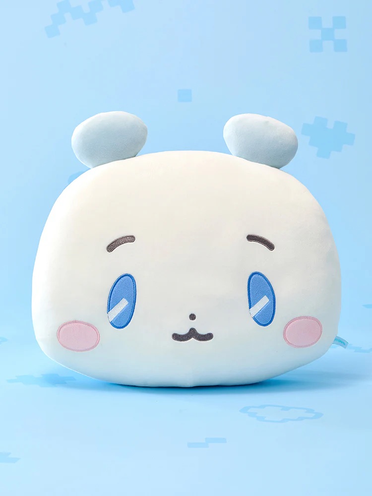 📦訂購 韓國代購 Line Friends PLAVE MMMM BIG MOCHI FACE CUSHION 
