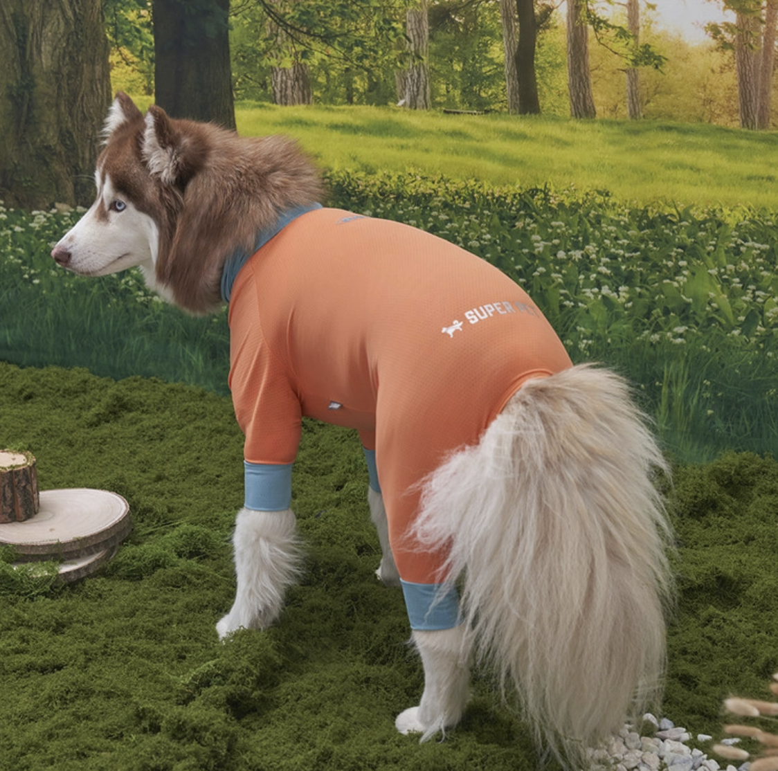 *SuperPet🇰🇷 狗狗全方位防護涼感連身衣(DG414)