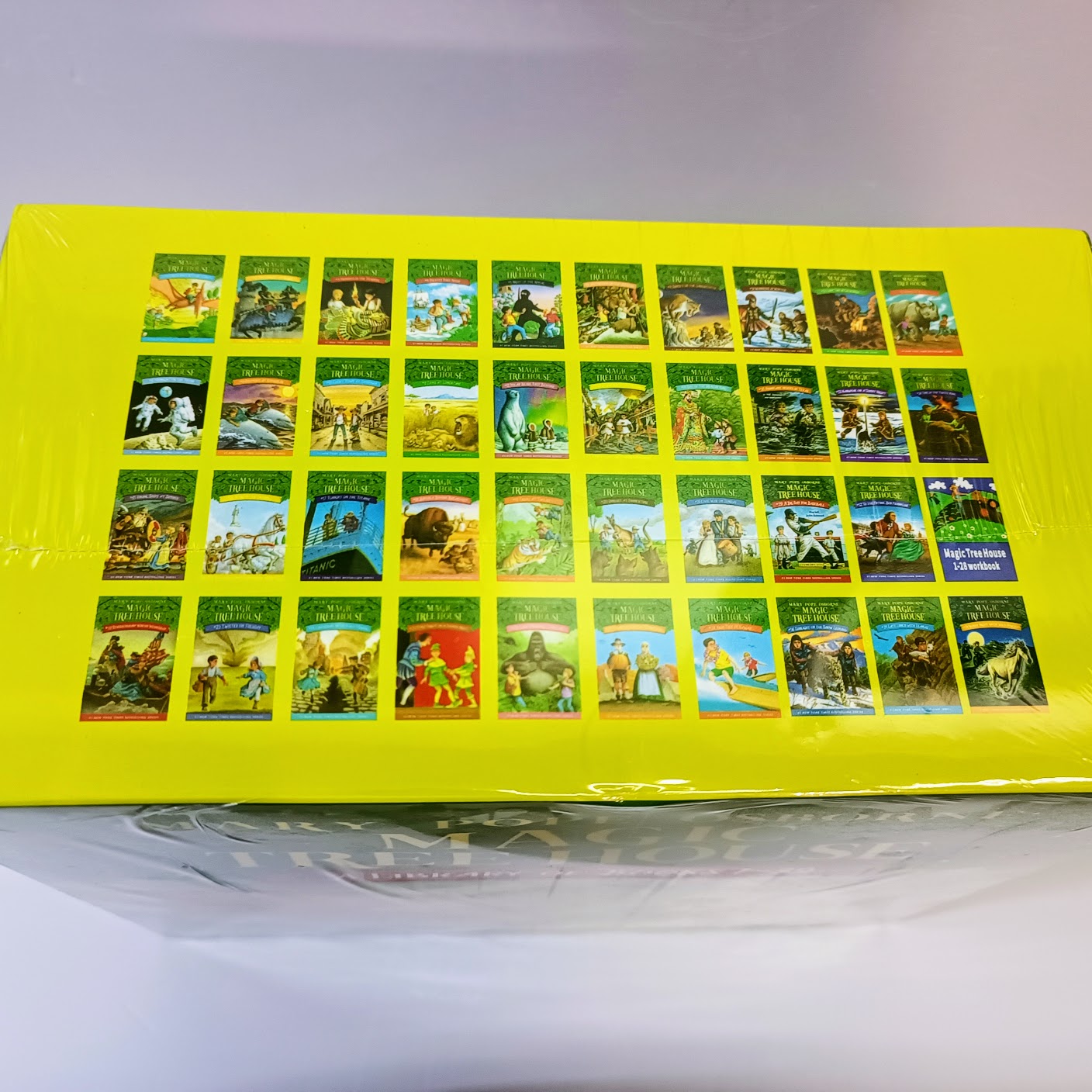 Magic Tree House 1-39   神奇樹屋第一季       英文版繪本帶練習冊   B156