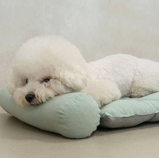 *SuperPet🇰🇷棉質全包式寵物小屋 (Cotton House)🐾