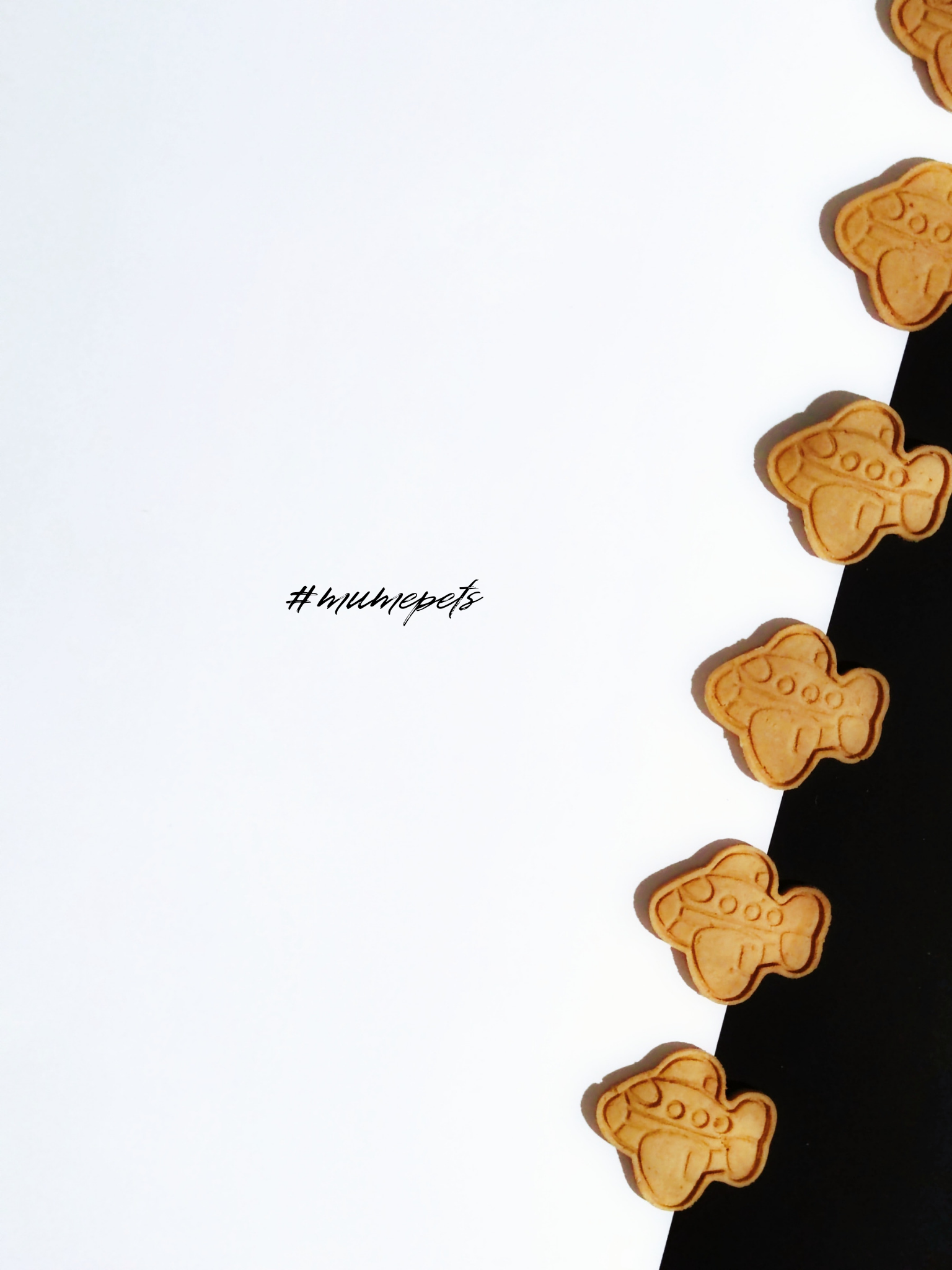 飛機仔寵物花生曲奇