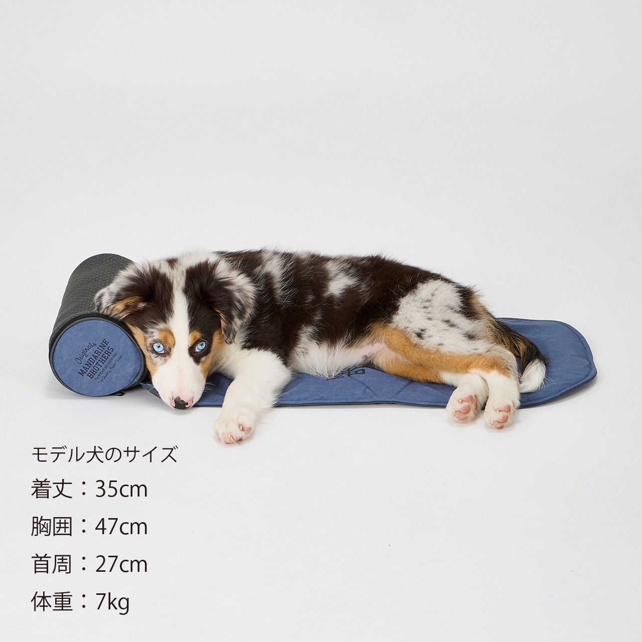 Mandarine Brothers Icy Cozy Mini Mat (寵物車涼墊)