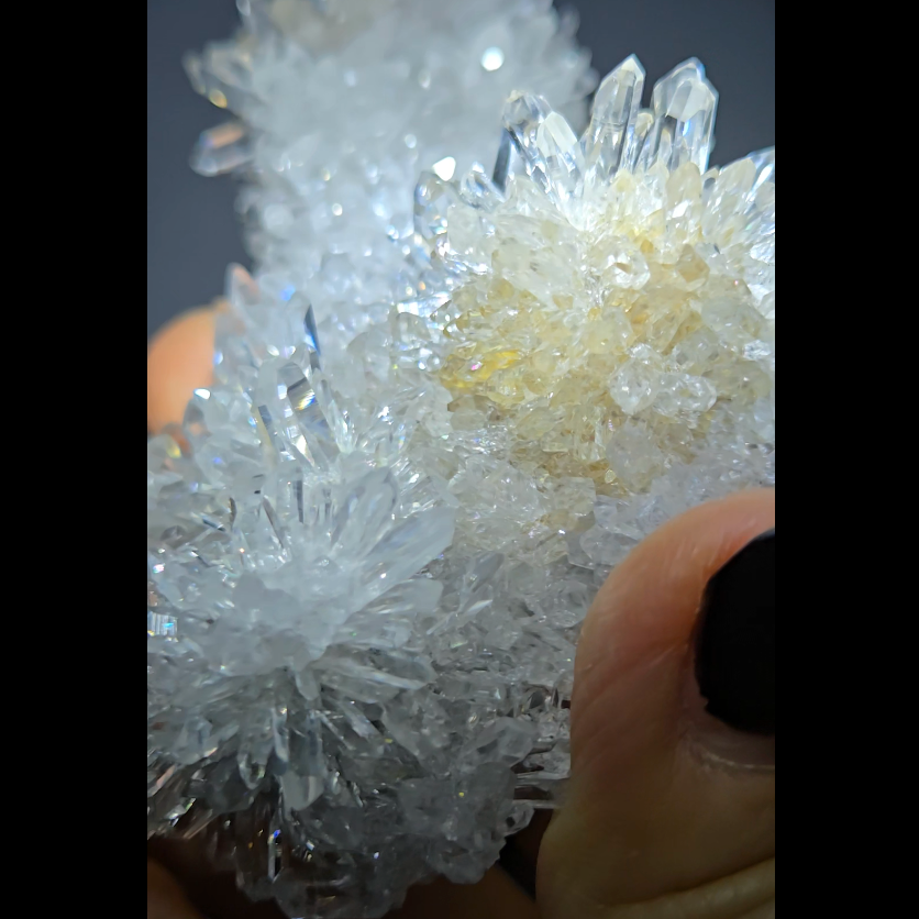 Chrysanthemum needle quartz with floral blooms - CQ486