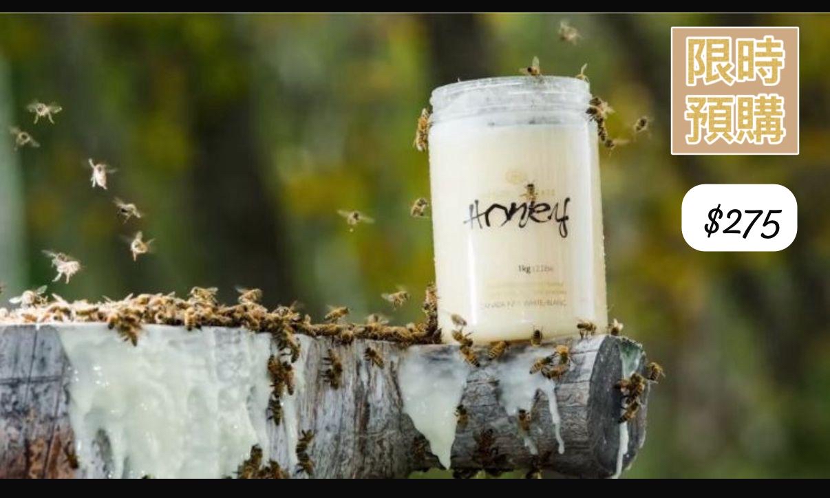 加拿大直送  Wendell Estate Canada’s No1 White Creamed Honey 1 kg 溫德爾白蜜-5月中到貨