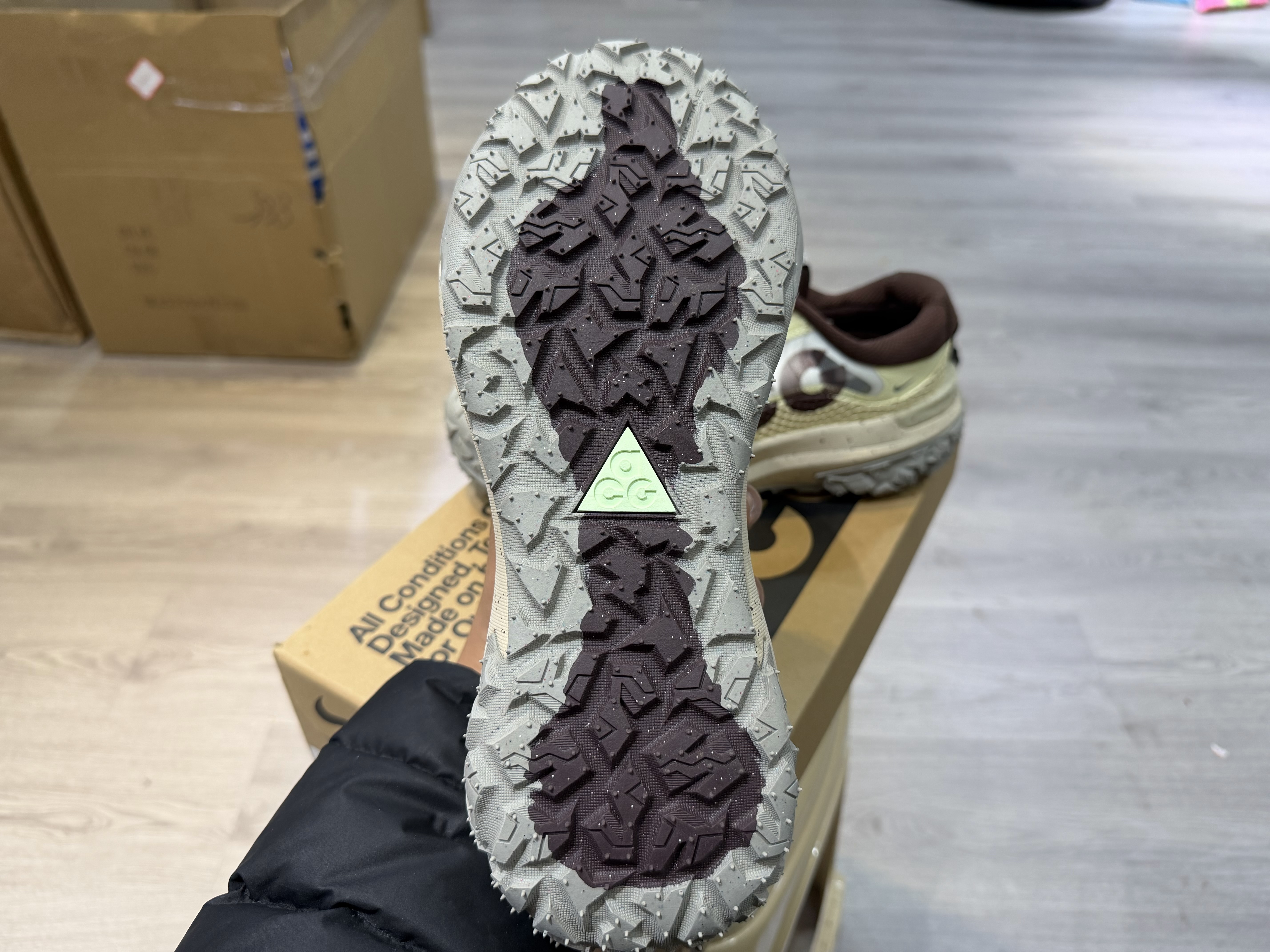 Nike ACG Mountain Fly 2 Low