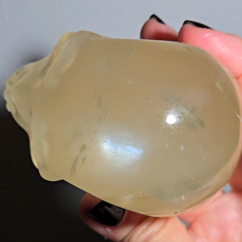 Citrine skull with rainbows and multiple star flash asterism - C59