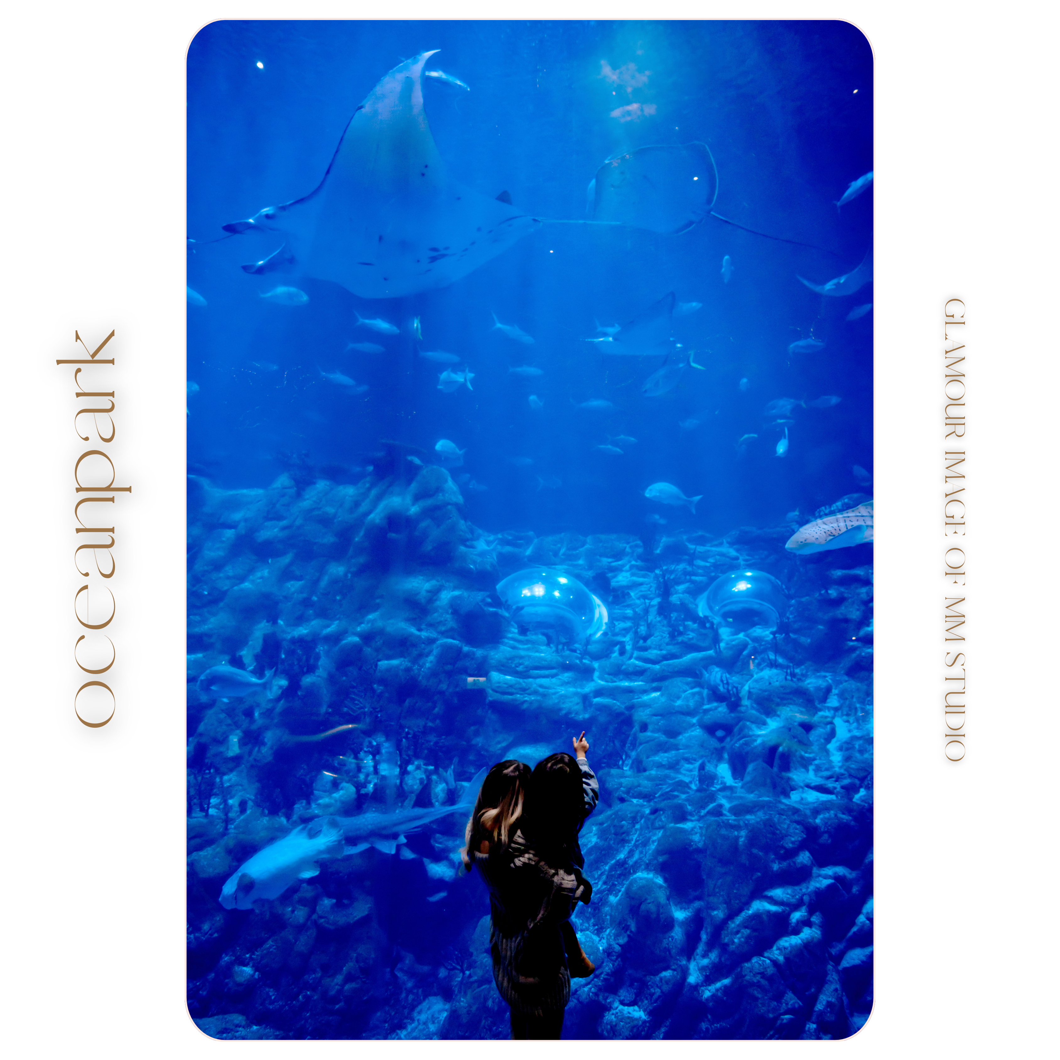 香港海洋公園攝影套餐 | 家庭相、個人寫真服務 Package OP 