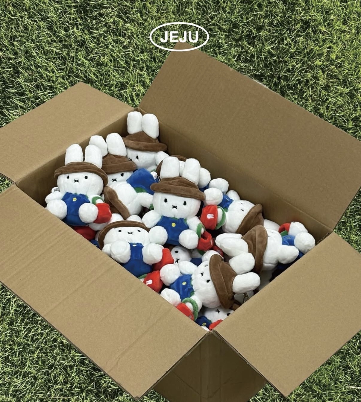 新登場 [韓國直送] Miffy in JEJU 濟州島限定 海女/農夫 公仔/掛件