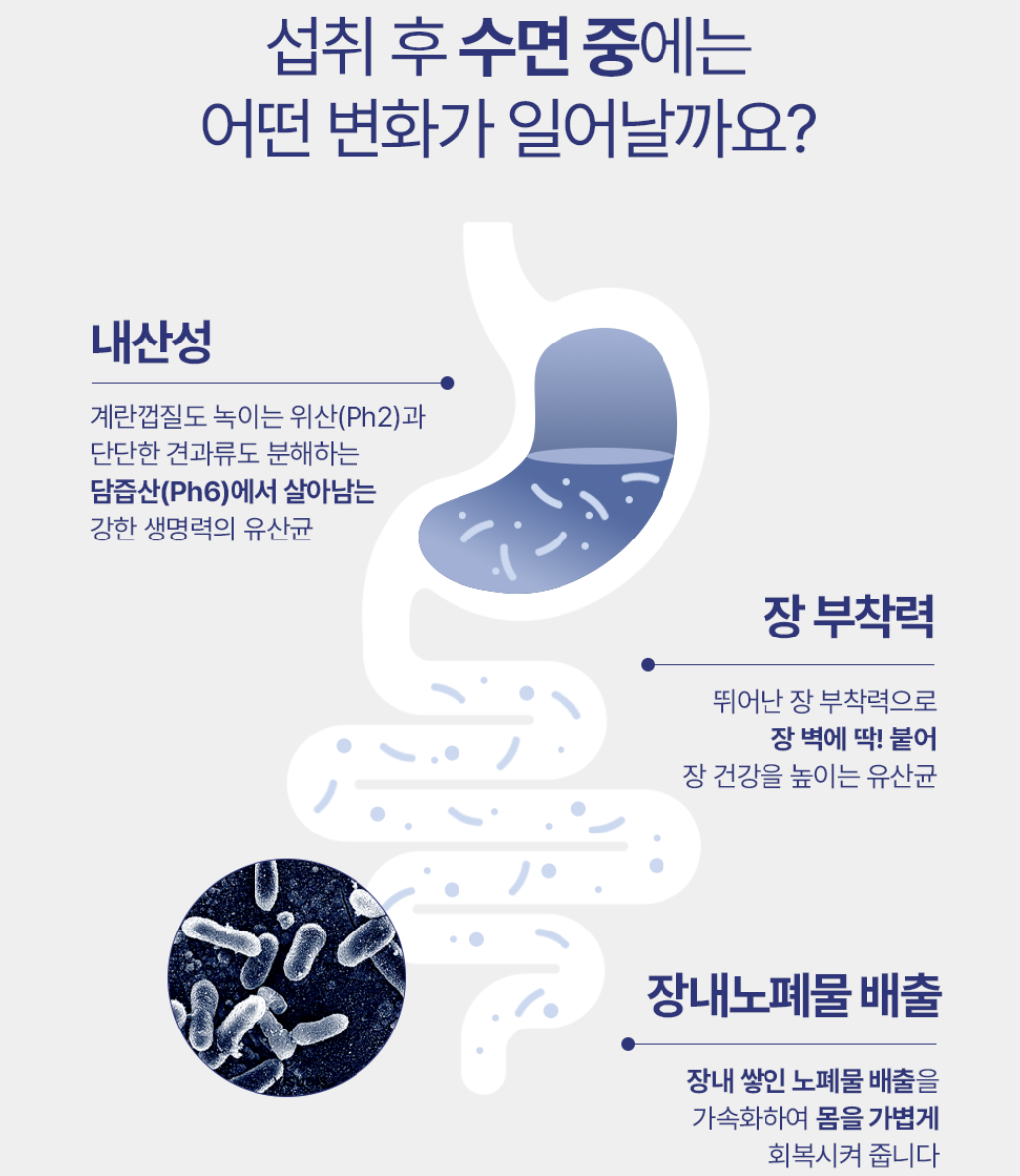 韓國 Bbagio 晚安 深度睡眠 益生菌 30入/盒｜Good Night Deep Sleep Lactobacillus