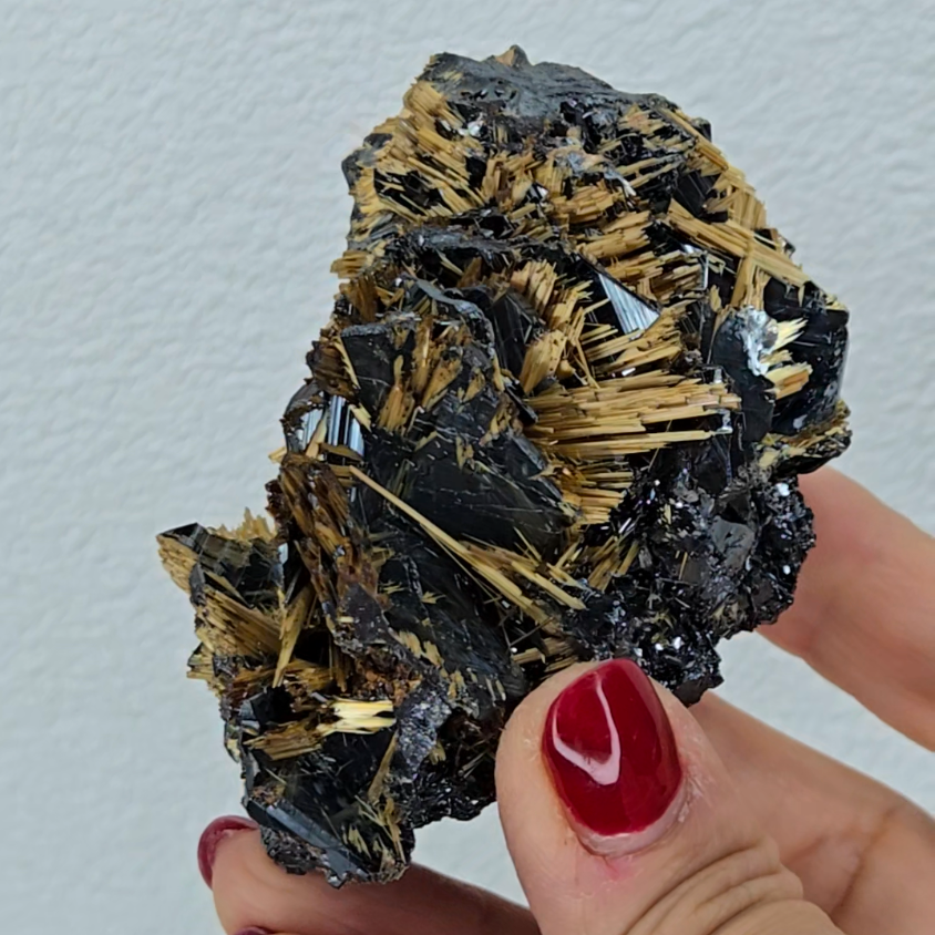 Golden exposed starburst rutiles on black hematite - RT288