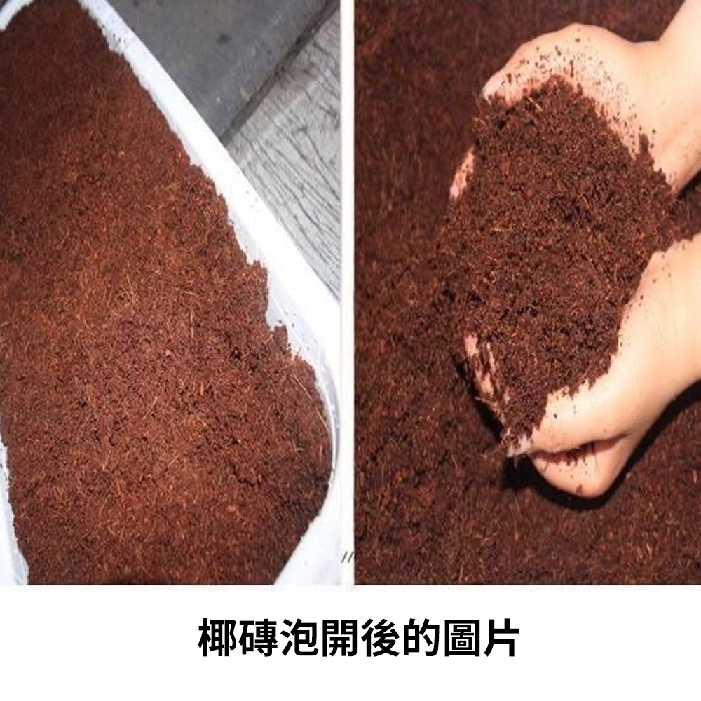 椰磚營養土 有機養花 蔬菜 多肉 壓縮椰粉磚 園藝栽培 椰糠 [平行進口] HK2740