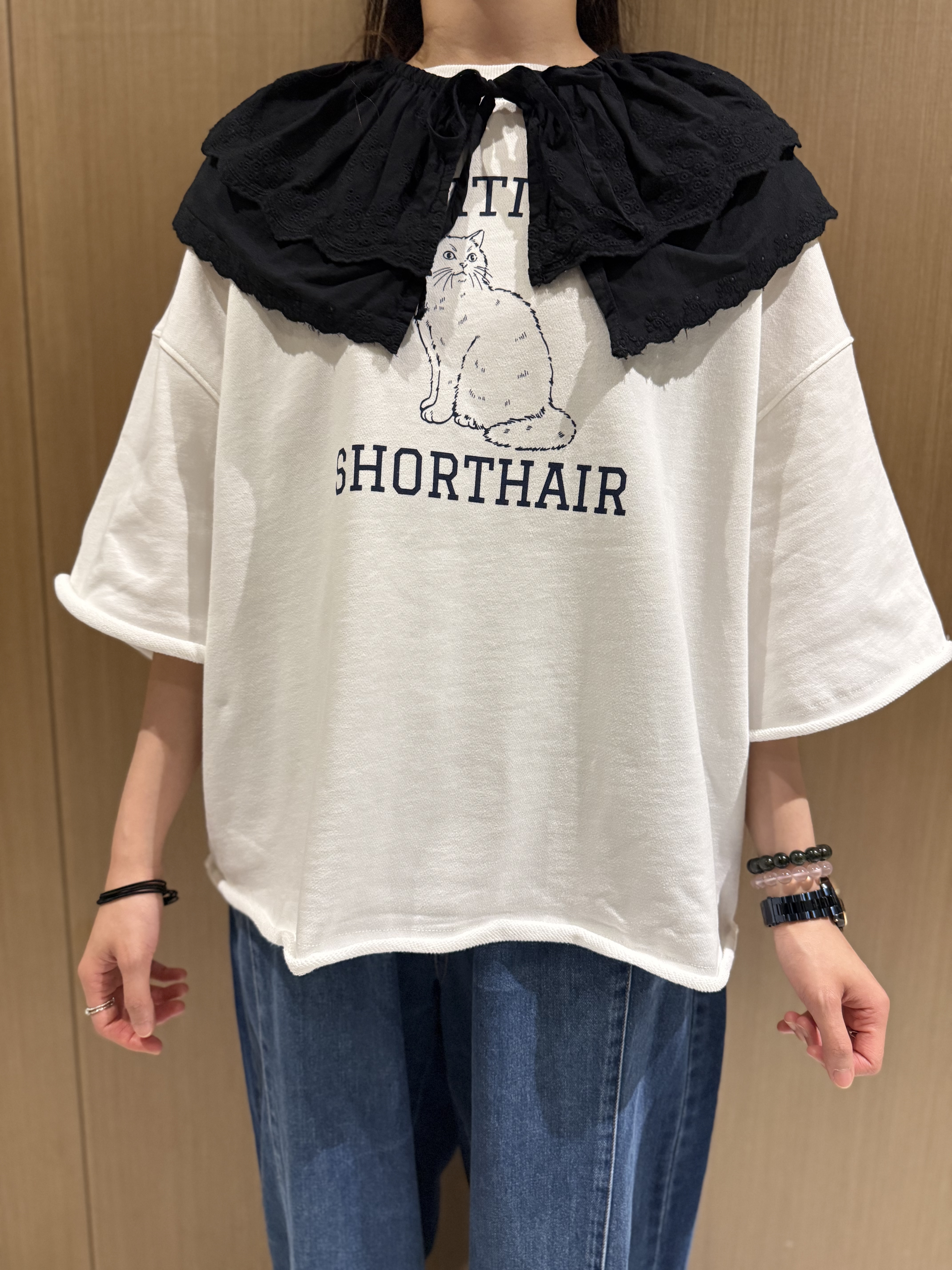 英短貓圖案𝐭𝐞𝐞