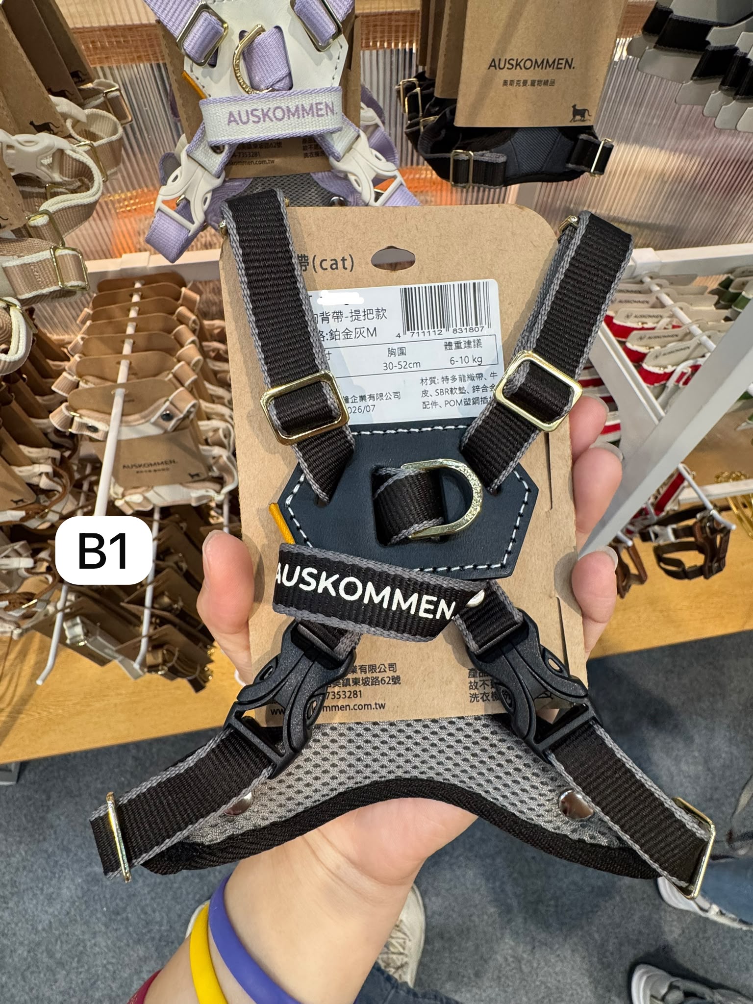Auskommen X型胸帶