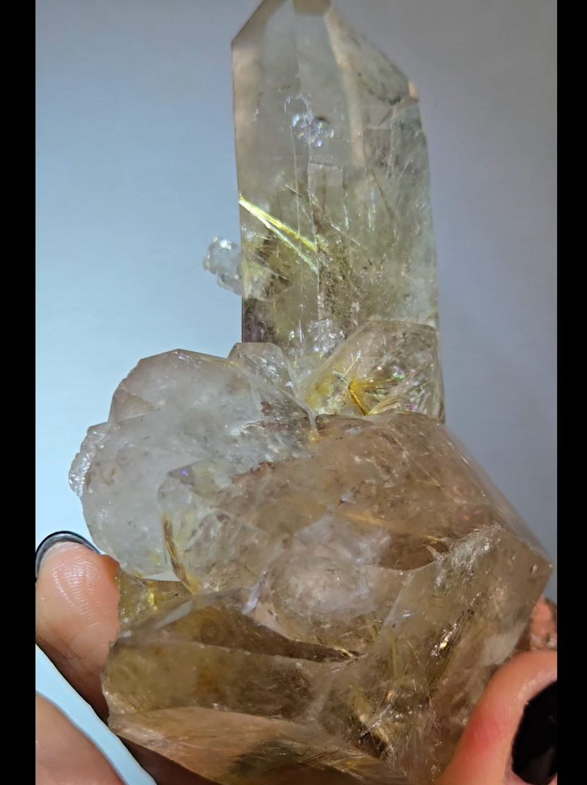 Golden starburst rutiles on black hematite in quartz - RT1429
