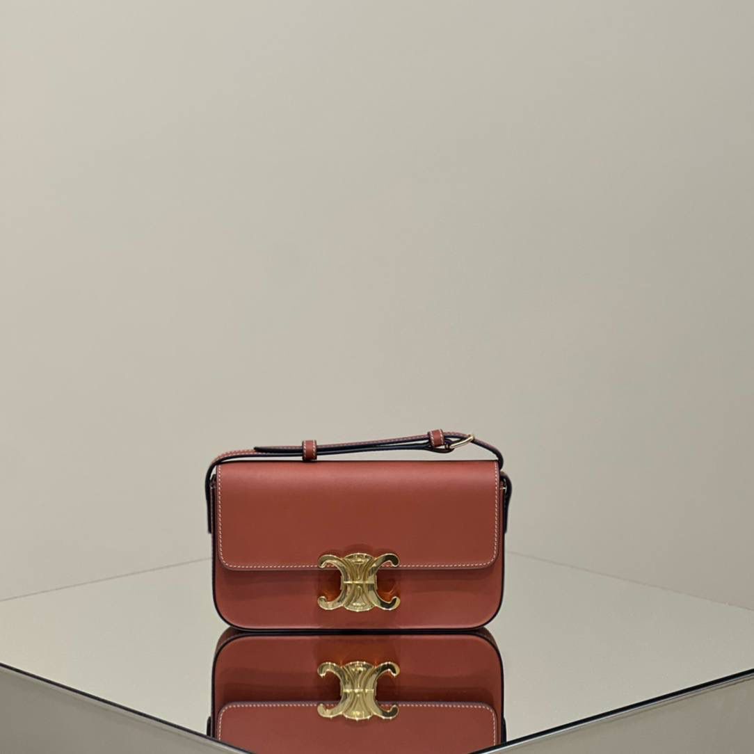 🔥大货实拍图 𝗖𝗘𝗟𝗜𝗡𝗘 ♥ 𝗧𝗥𝗜𝗢𝗠𝗣𝗛𝗘 𝗦𝗛𝗢𝗨𝗟𝗗𝗘𝗥 𝗕𝗔𝗚 型号：194143 尺寸：20*10*4cm