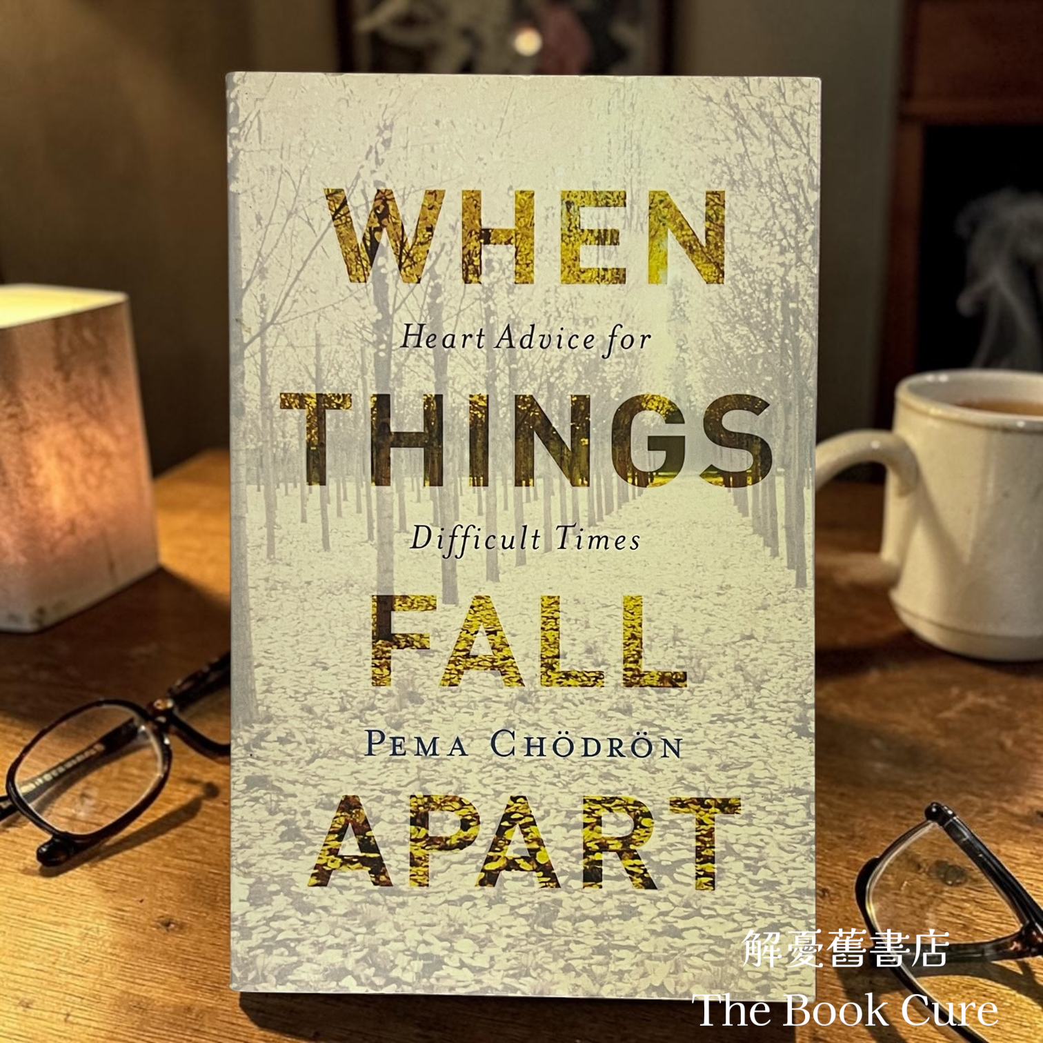 When Things Fall Apart: Heart Advice for Difficult Times / by Pema Chodron