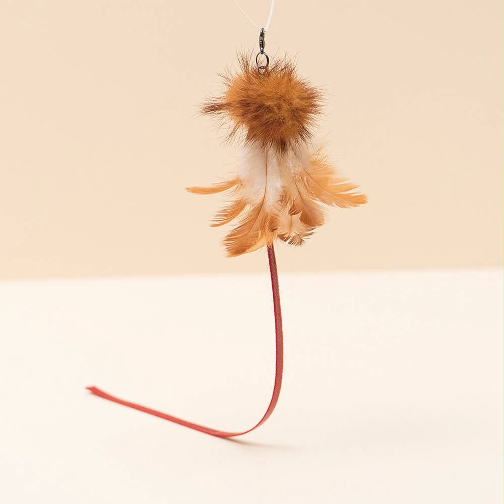 Zooahpet 紅尾麻雀 빨간꼬리참새 補充貓頭玩具