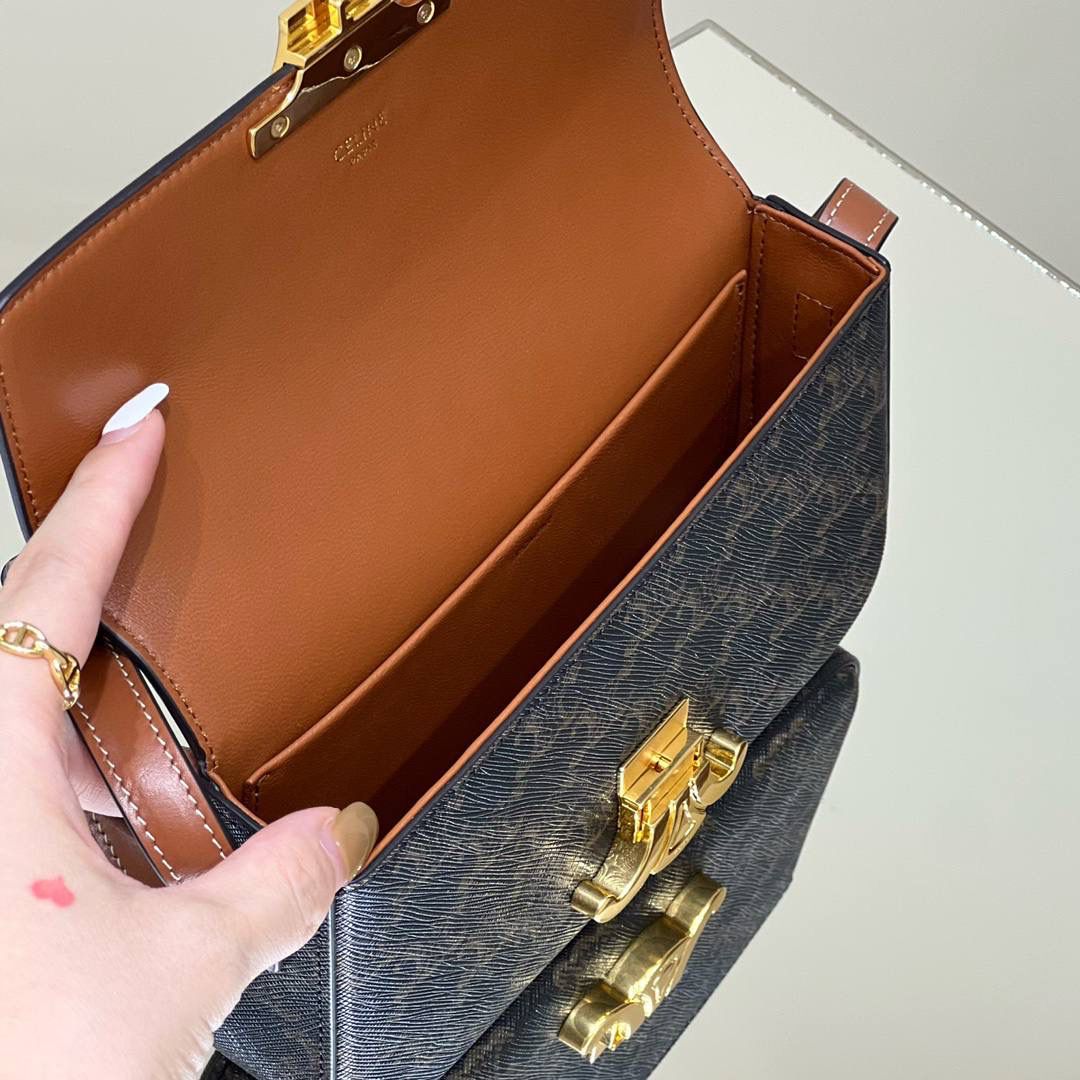 🔥大货实拍图 𝗖𝗘𝗟𝗜𝗡𝗘 ♥ 𝗧𝗥𝗜𝗢𝗠𝗣𝗛𝗘 𝗦𝗛𝗢𝗨𝗟𝗗𝗘𝗥 𝗕𝗔𝗚 型号：194142 尺寸：20*10*4cm