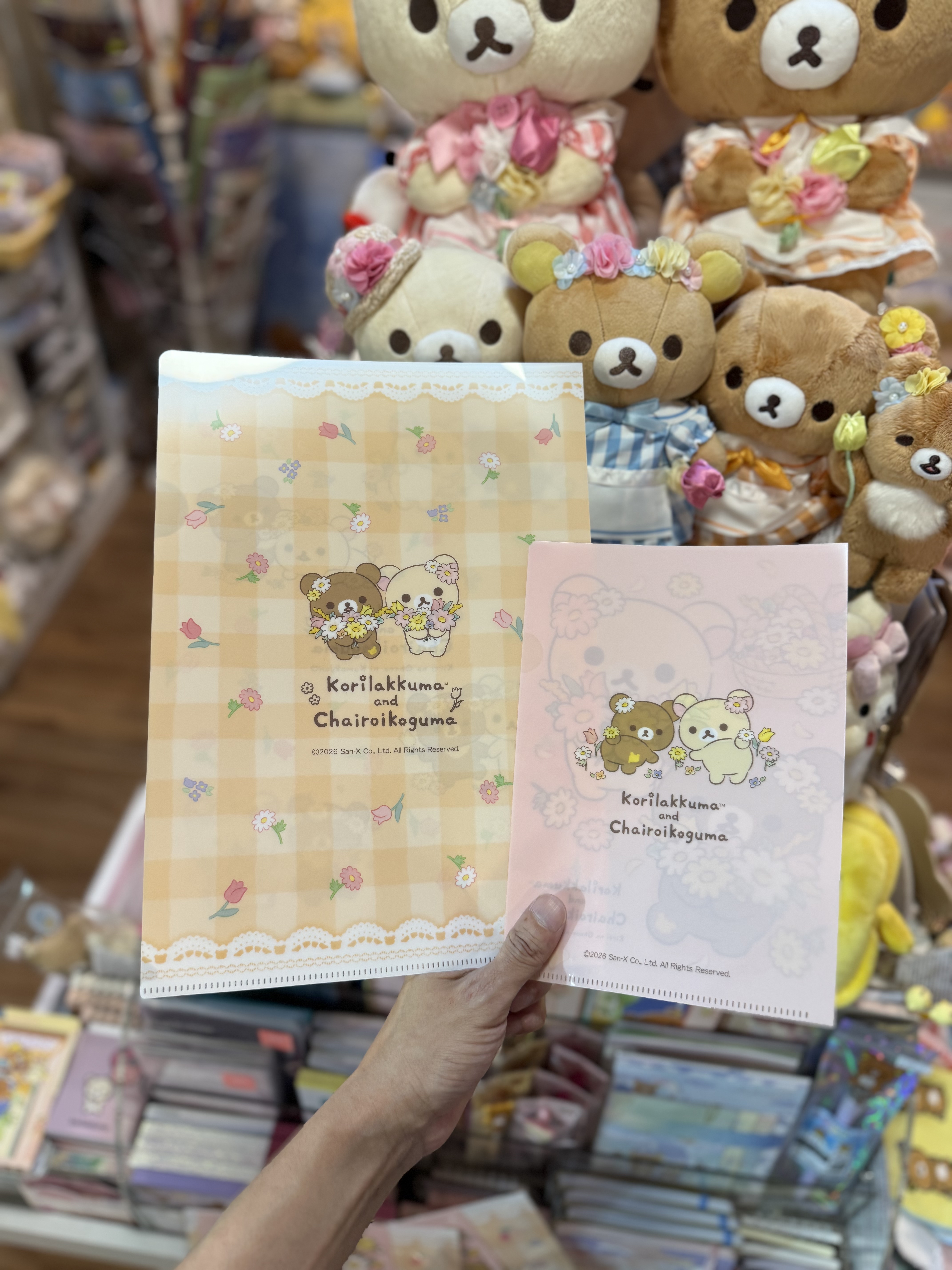 現貨》全新日本有樂町pop up店限定 花花造型A4+A5 