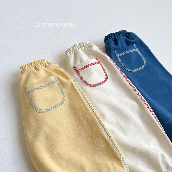 🇰🇷vivid_i pants