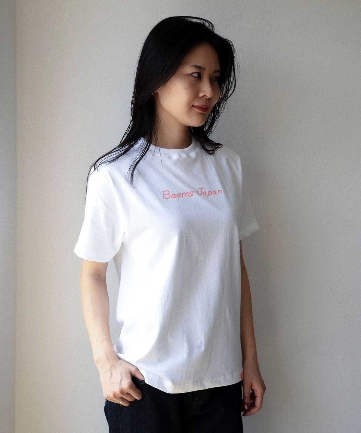 【预购】BEAMS JAPAN【别注】富士山 T恤 Vol.3