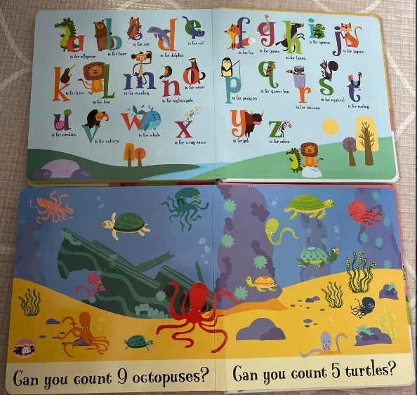 Look & See ABC 123 幼兒啟蒙 紙板書｜2 books｜海綿圓角