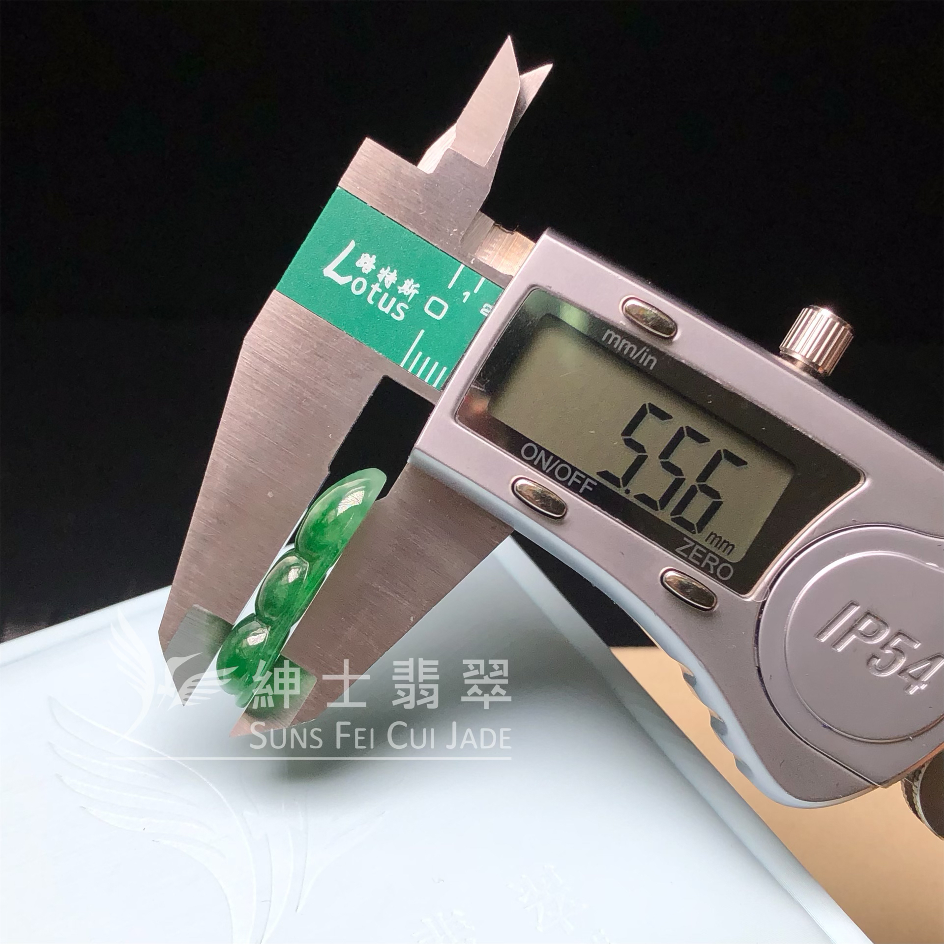 B08979 滿色福豆