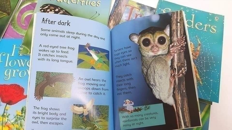Usborne Beginners Nature 初探自然 兒童科普讀物｜10 books｜英文科普知識繪本