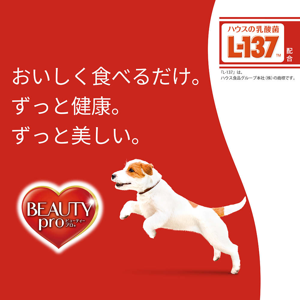 Beauty Pro 10歲以上高齡犬糧 2.3 Kg：呵護關節與皮膚，照料食物過敏，維持健康免疫力