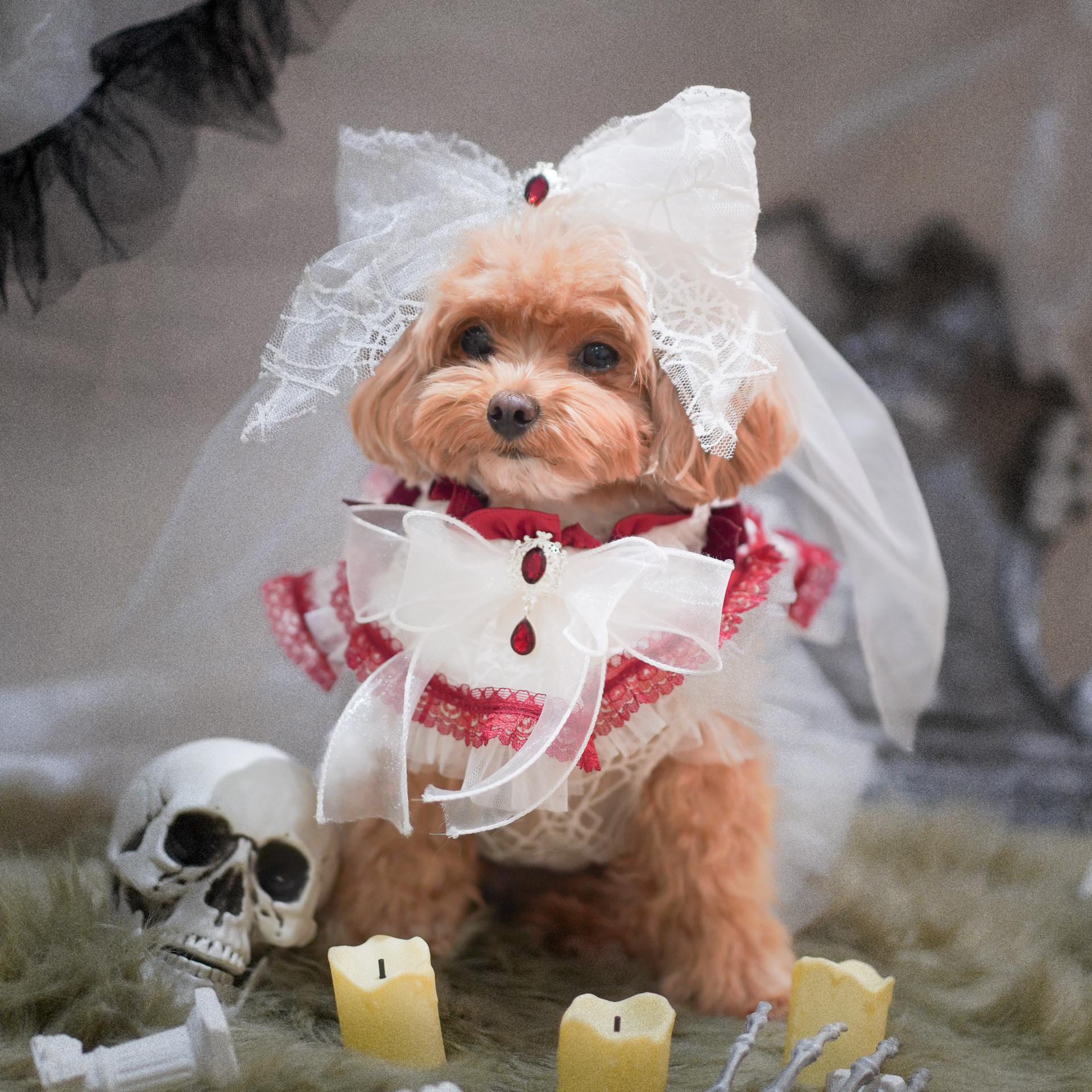 🎃Haunted Castle – Haunted Castle Bridal Veil