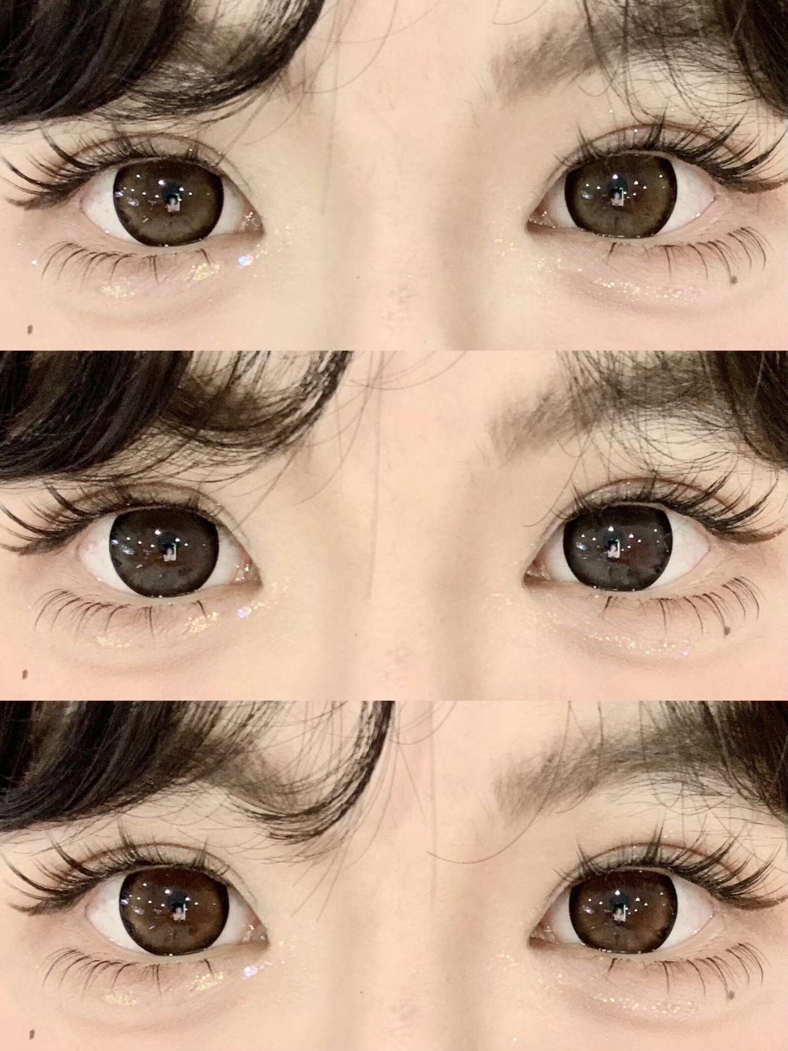 Macycon 月拋 芝士小狗/可愛比熊/萌萌貴賓