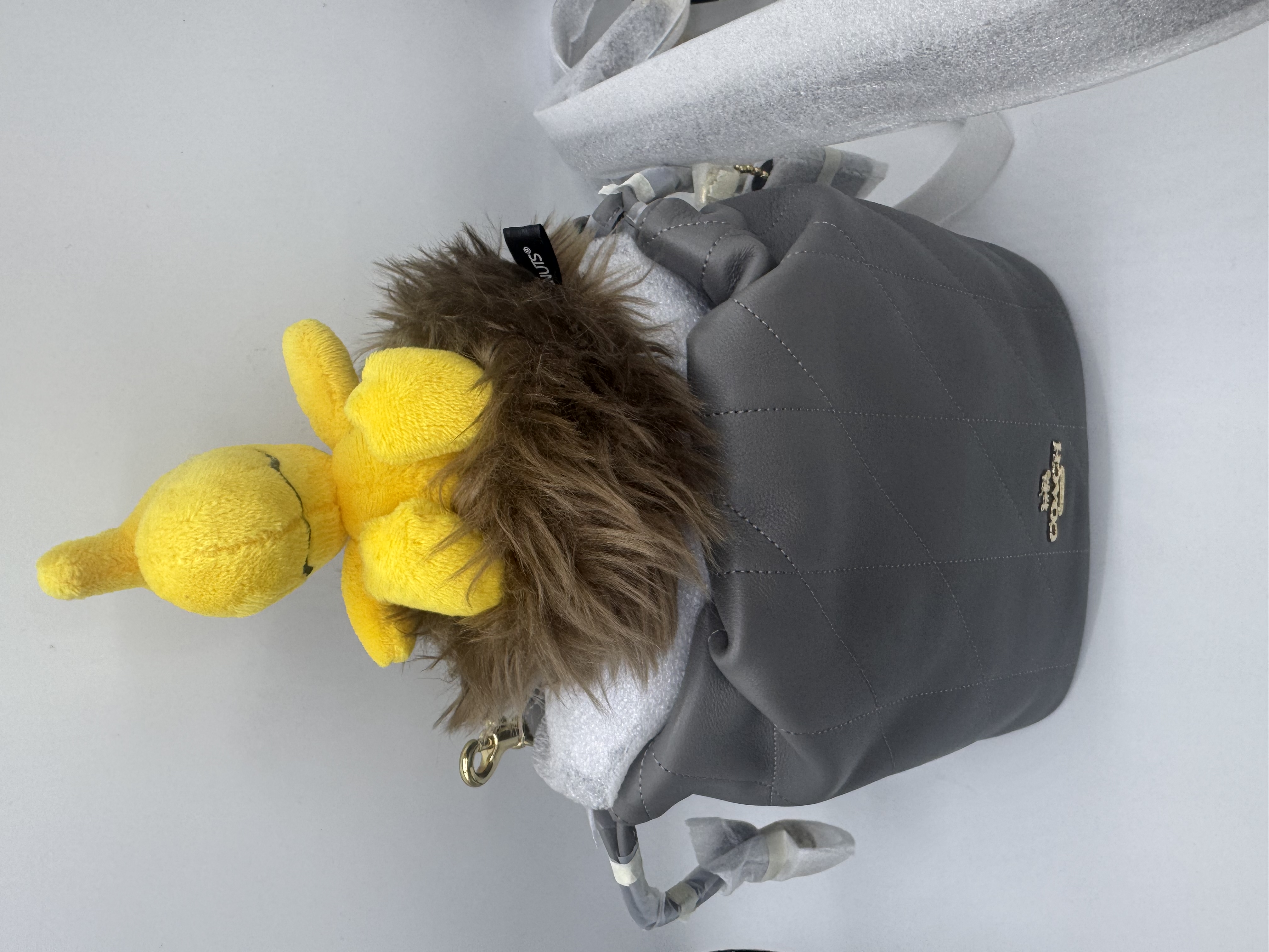 🇺🇸✈️🇨🇦Coach outlet 特別灰色🩶 Faye Mini Drawstring Bag With Quilting現貨🤩