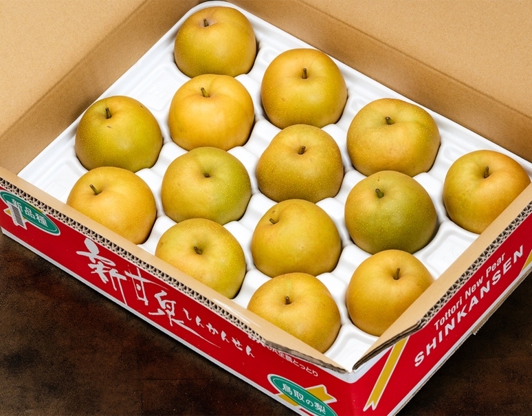 5kg 日本新甘泉梨（12/14玉）$598/箱