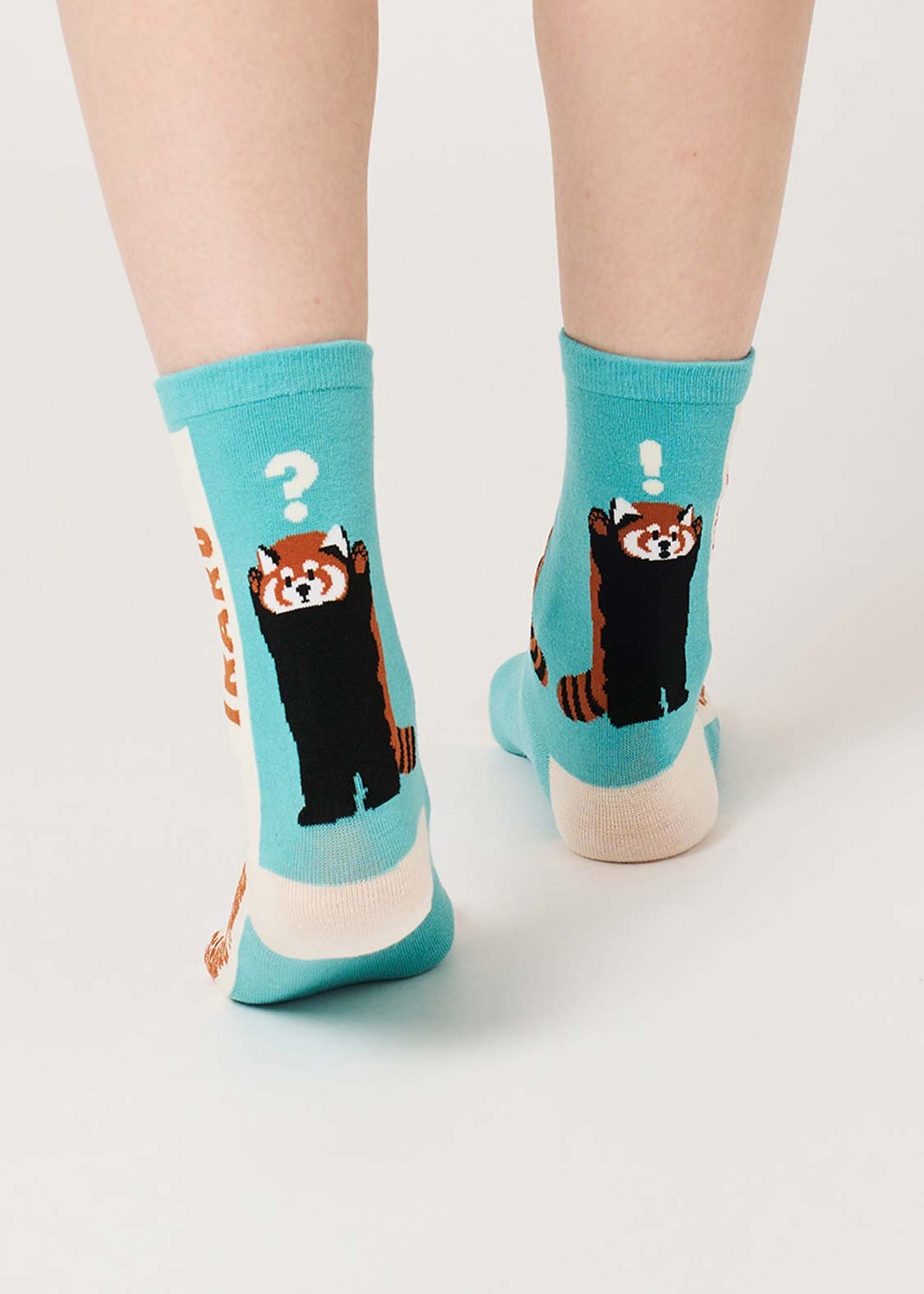 📦訂購 日本限定 graniph IKAKU Red Panda 小熊貓 中筒襪