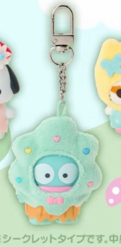 [現貨］🇯🇵日本直送sanrio6月盲盒指定款