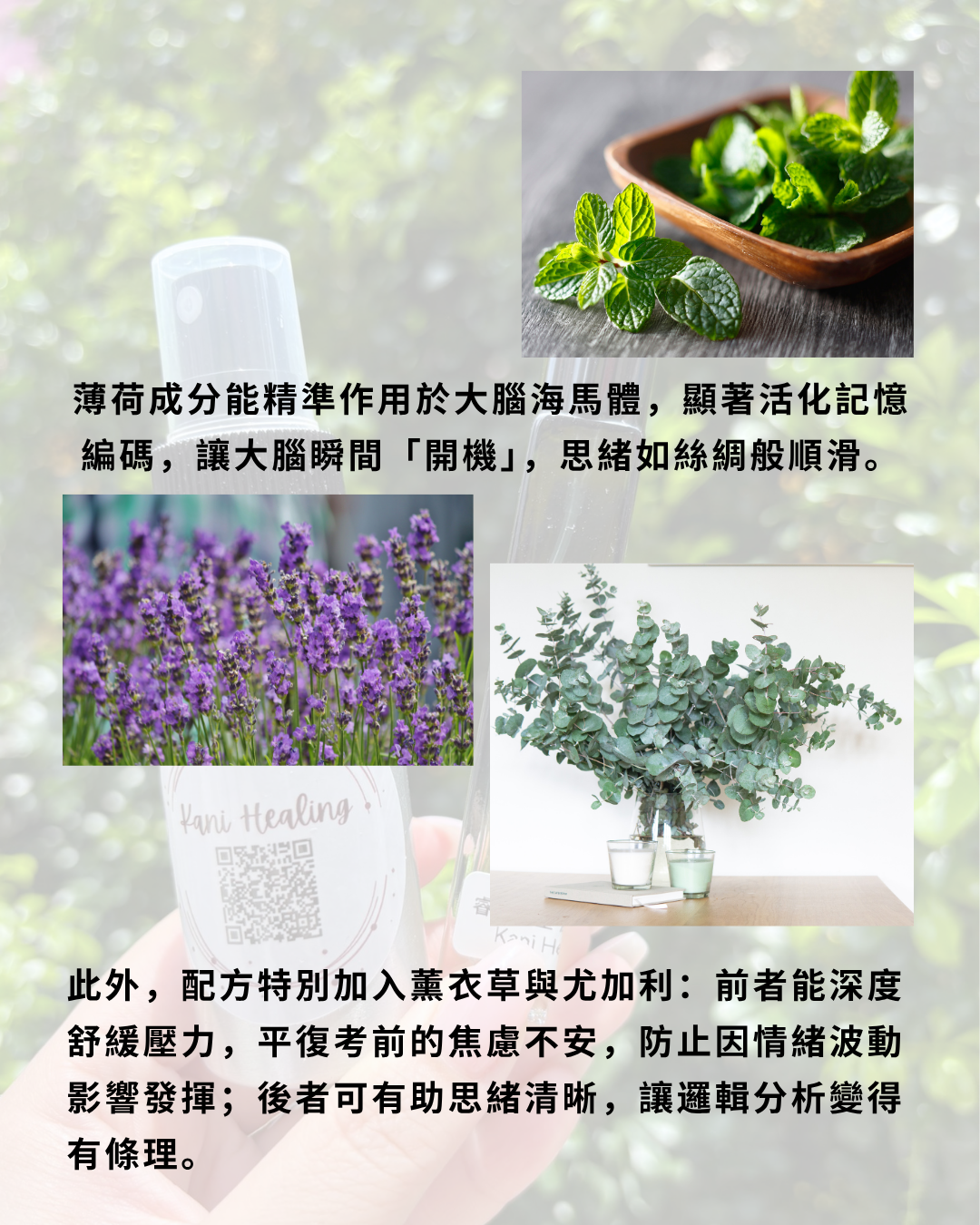 🧠學業躍進：睿躍之星 魔法噴霧🌟