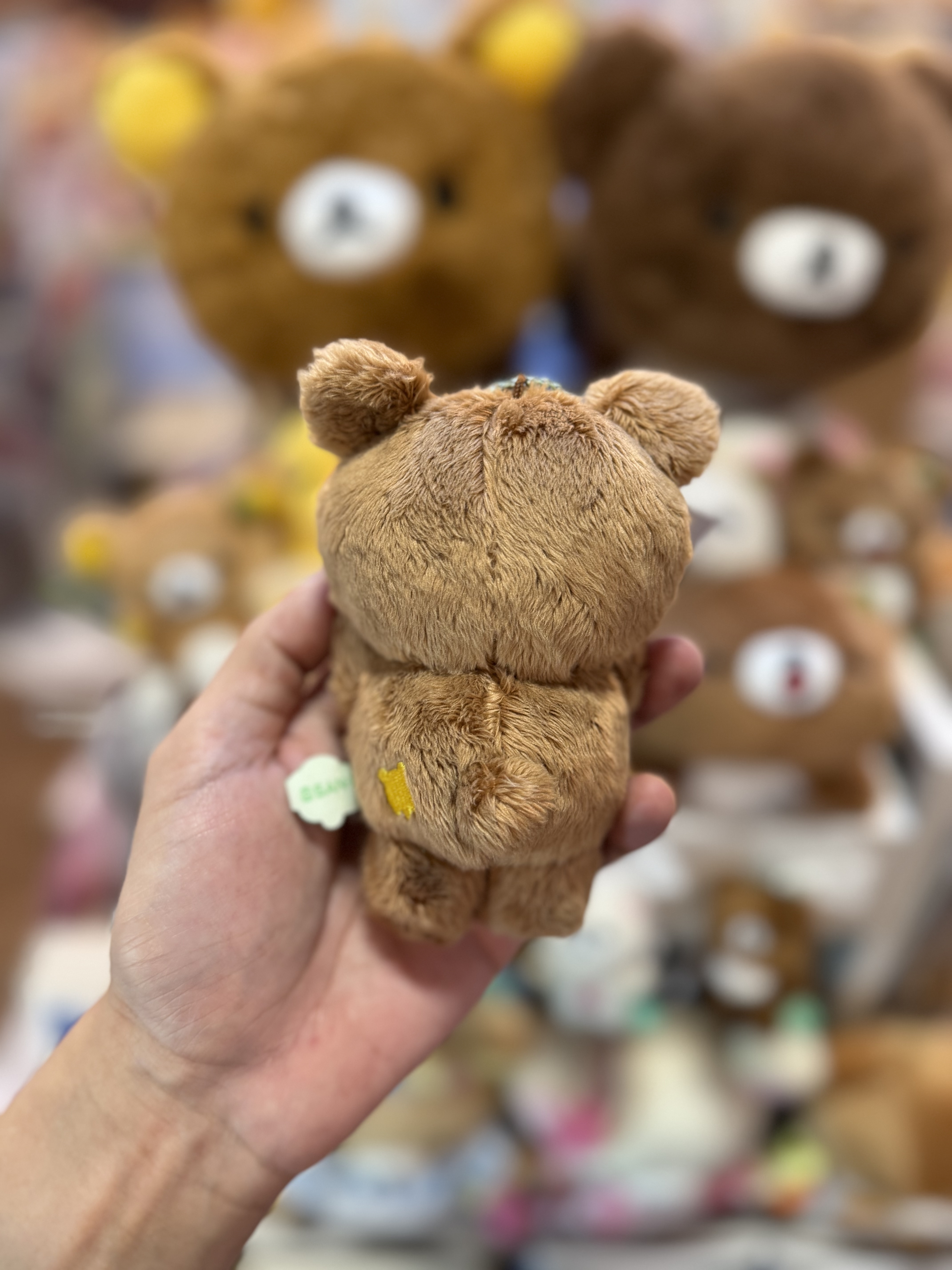 《現貨》全新小熊10週年紀念四葉草系列舉手掛飾