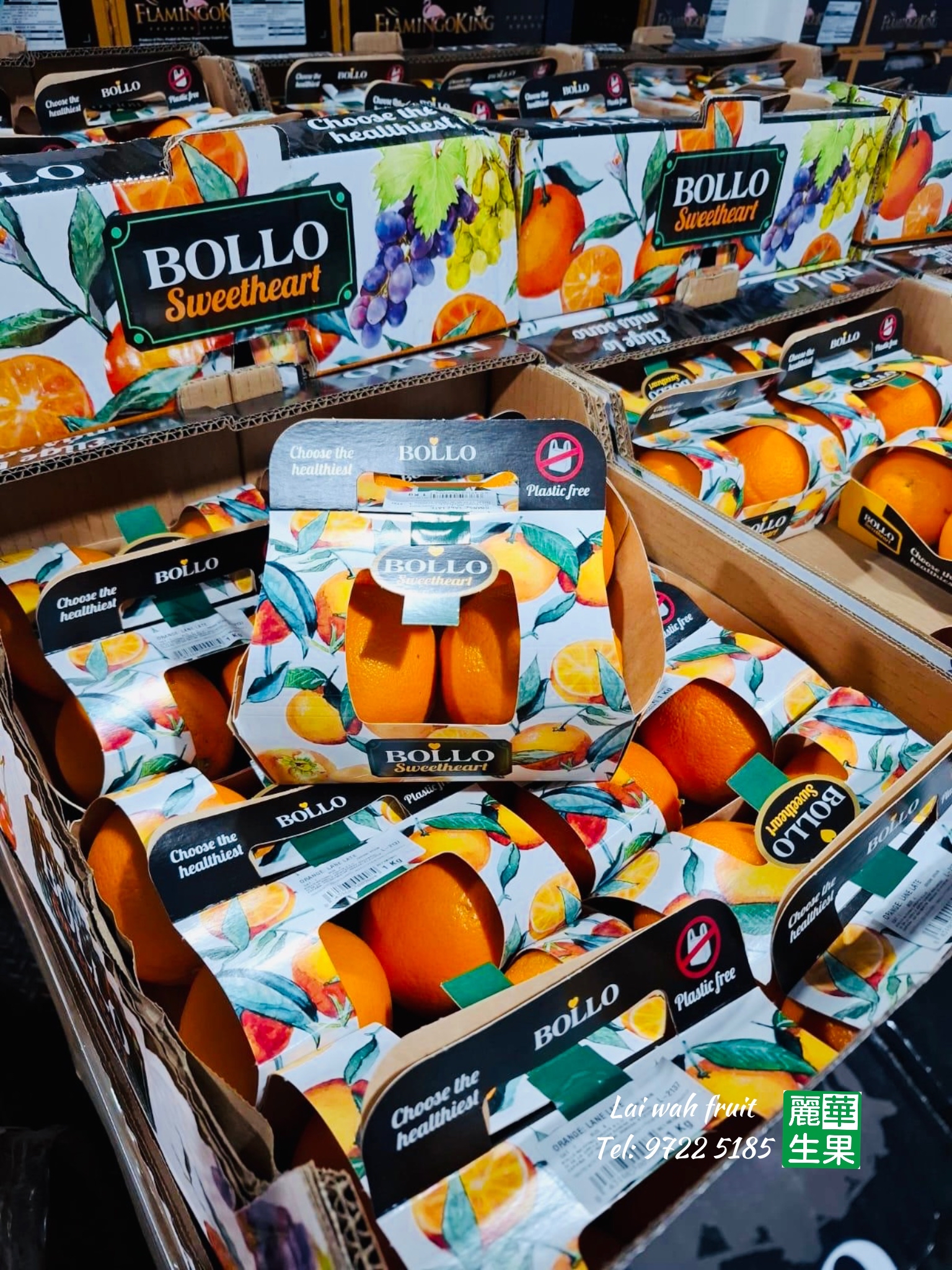 【西班牙Bollo 寶露公主甜橙】