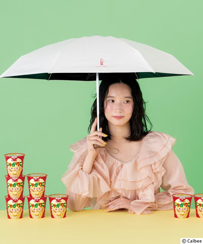 [訂購] [日本直送] 🍟じゃがりこ × Wpc 刺繡版日傘✨ {TF2604013}