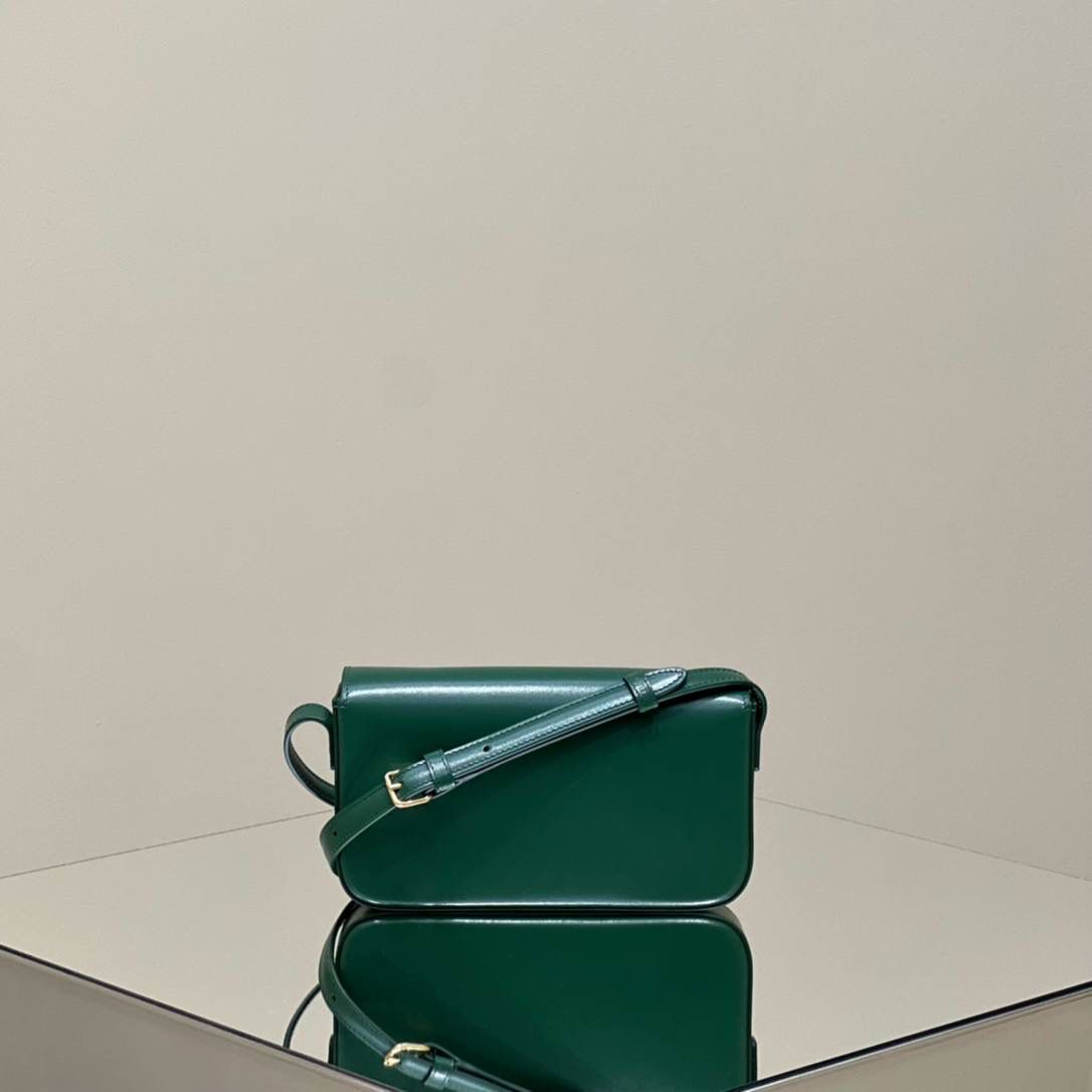 🔥大货实拍图 𝗖𝗘𝗟𝗜𝗡𝗘 ♥ 𝗧𝗥𝗜𝗢𝗠𝗣𝗛𝗘 𝗦𝗛𝗢𝗨𝗟𝗗𝗘𝗥 𝗕𝗔𝗚 型号：194143 尺寸：20*10*4cm