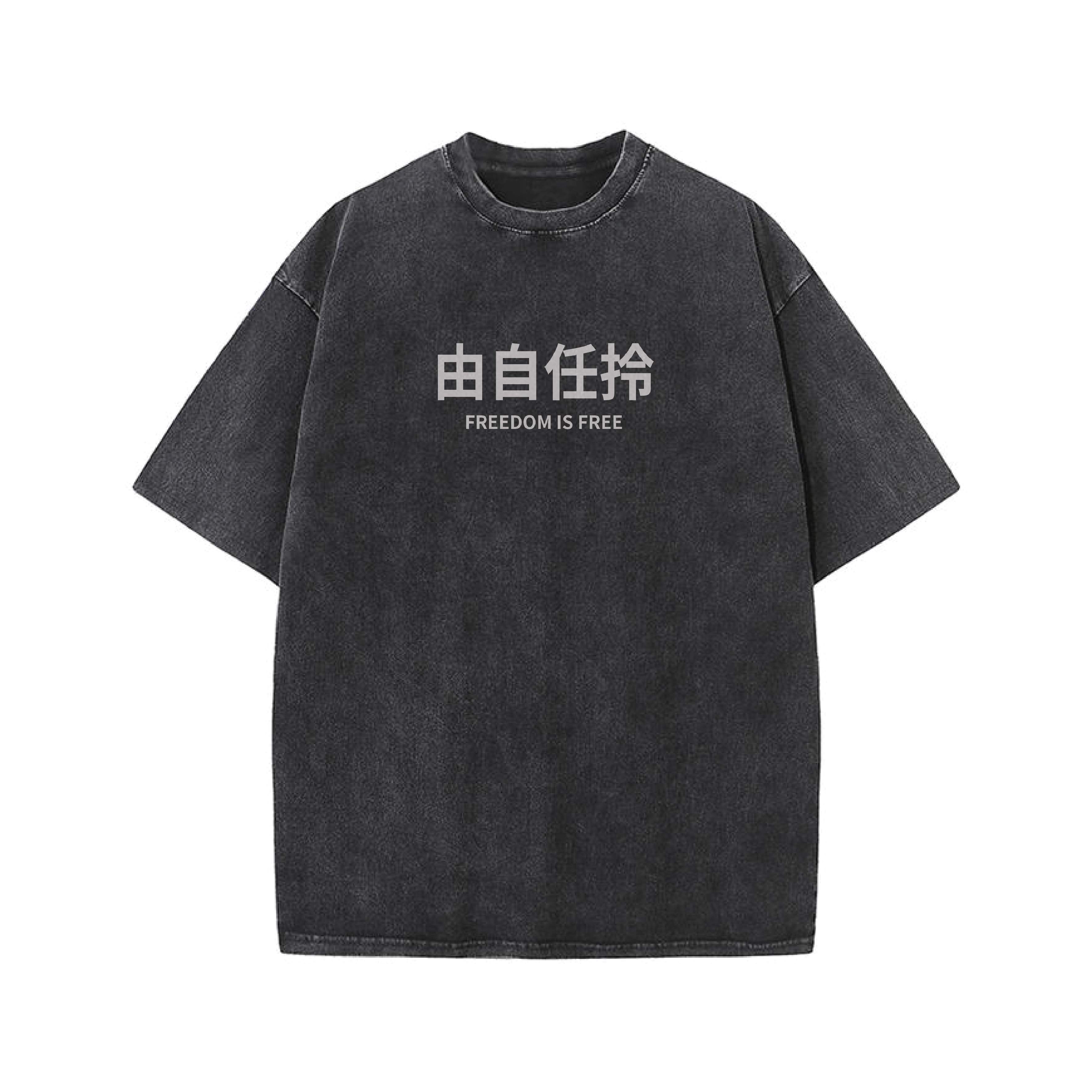 Tee - 由自任拎 洗水灰色